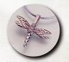 Small Dragonfly
