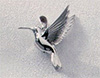 Hummingbird