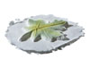 Leaf Token