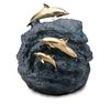 Dolphins in Harmony
